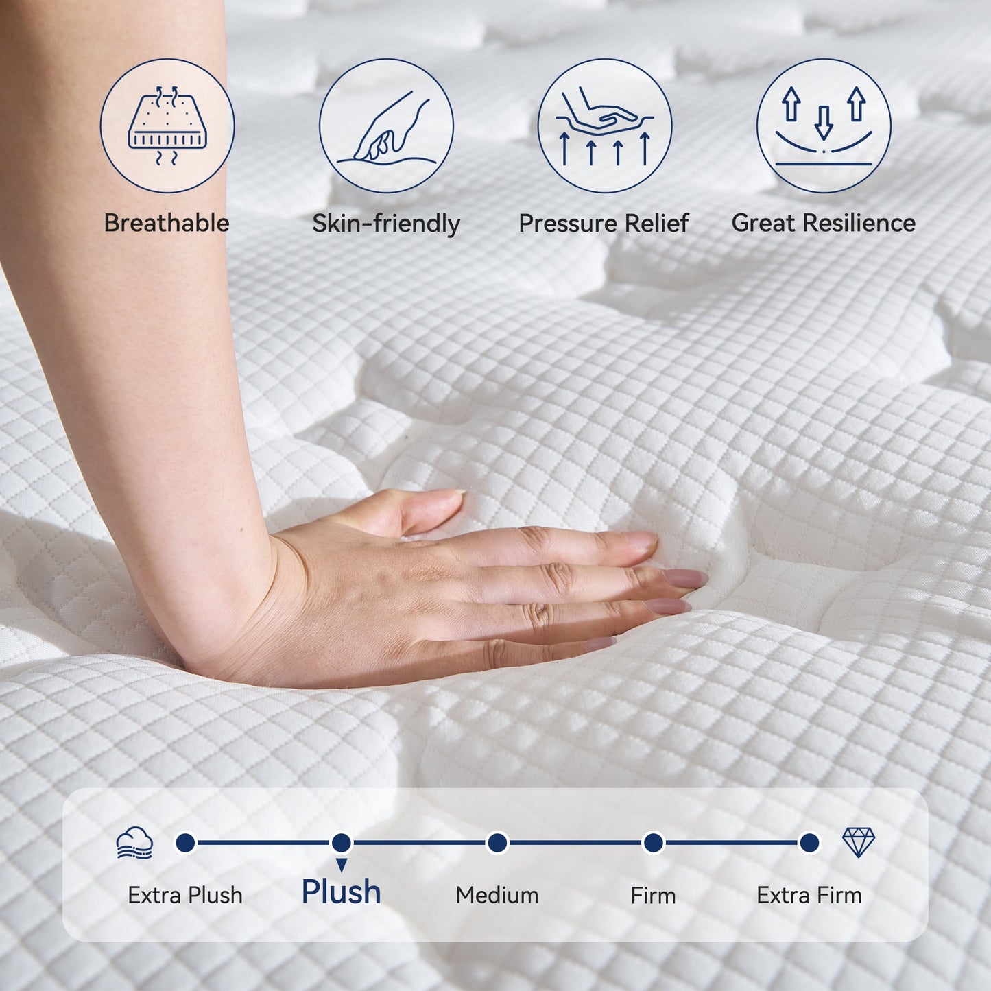 10" Queen Mattress, Euro Top Foam & Pocket Spring Hybrid Mattress in a Box, Plush Comfort, Pressure Relief and Motion Isolation